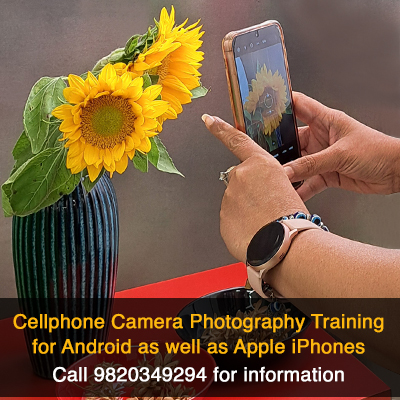 Cellphone Photography Training